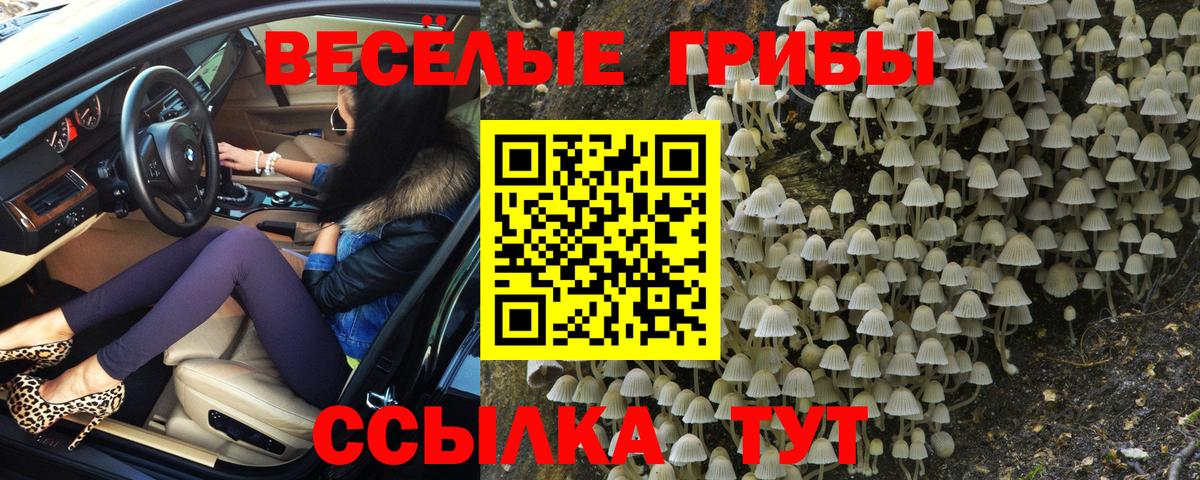 Псилоцибиновые грибы мухоморы  Галлюциногенные грибы Magic Shrooms  Сертолово  Вход с VPN 