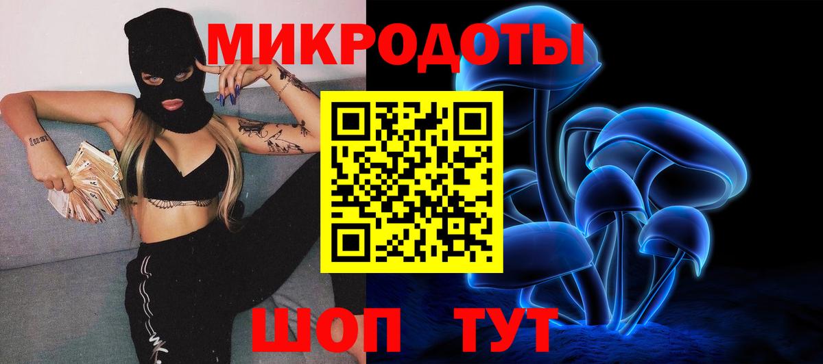 Галлюциногенные грибы Psilocybine cubensis Сертолово